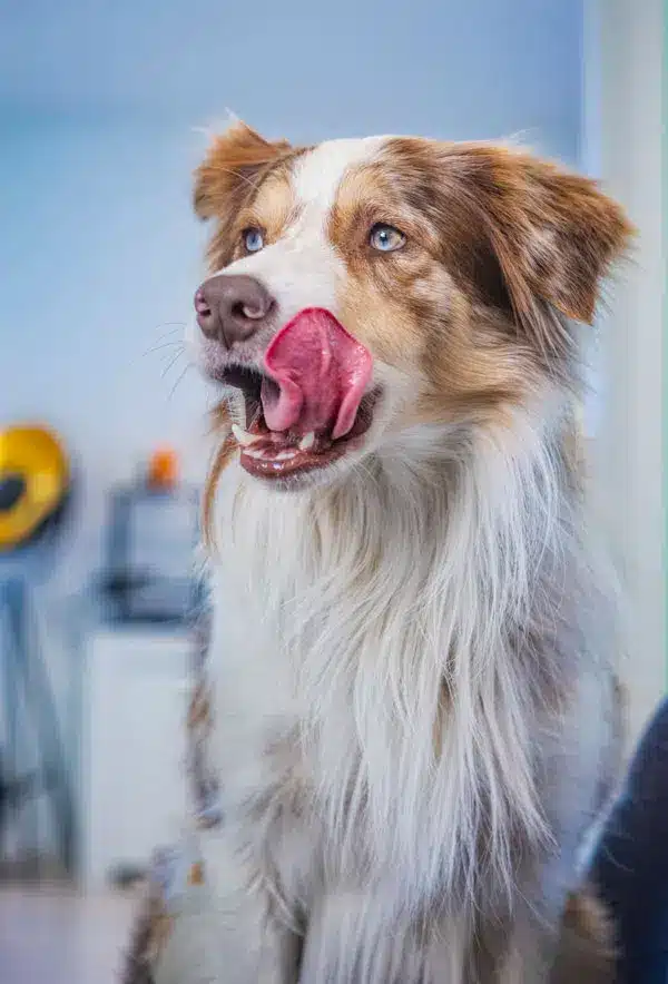 Flynn